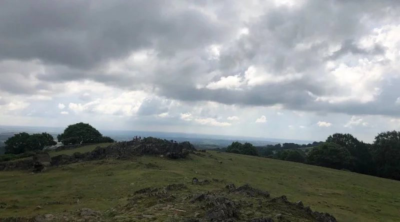 Top 8 Dog Walks in Leicester and Leicestershire